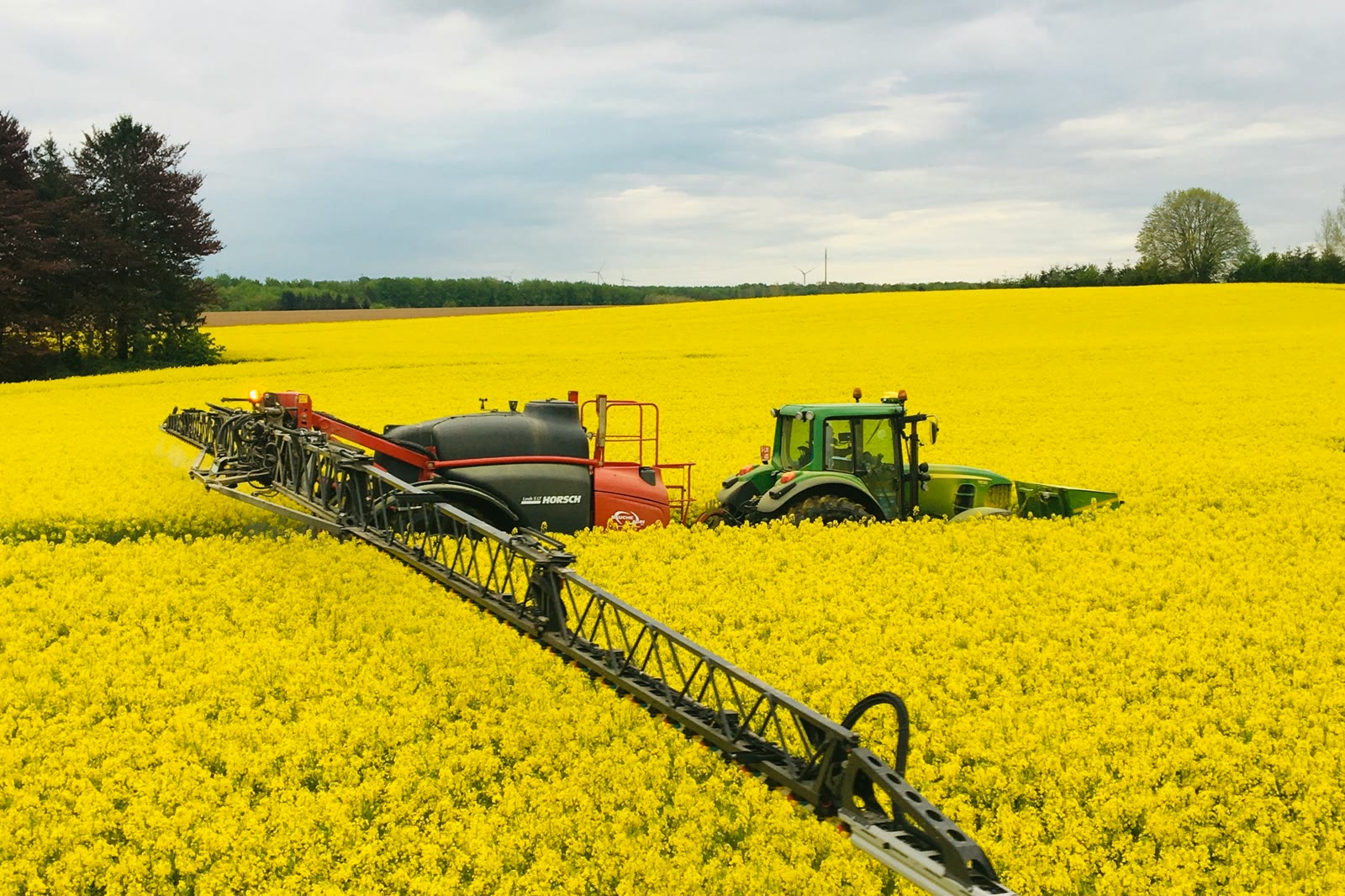 A tractor and boom sprayer working a field of flowering rapeseed